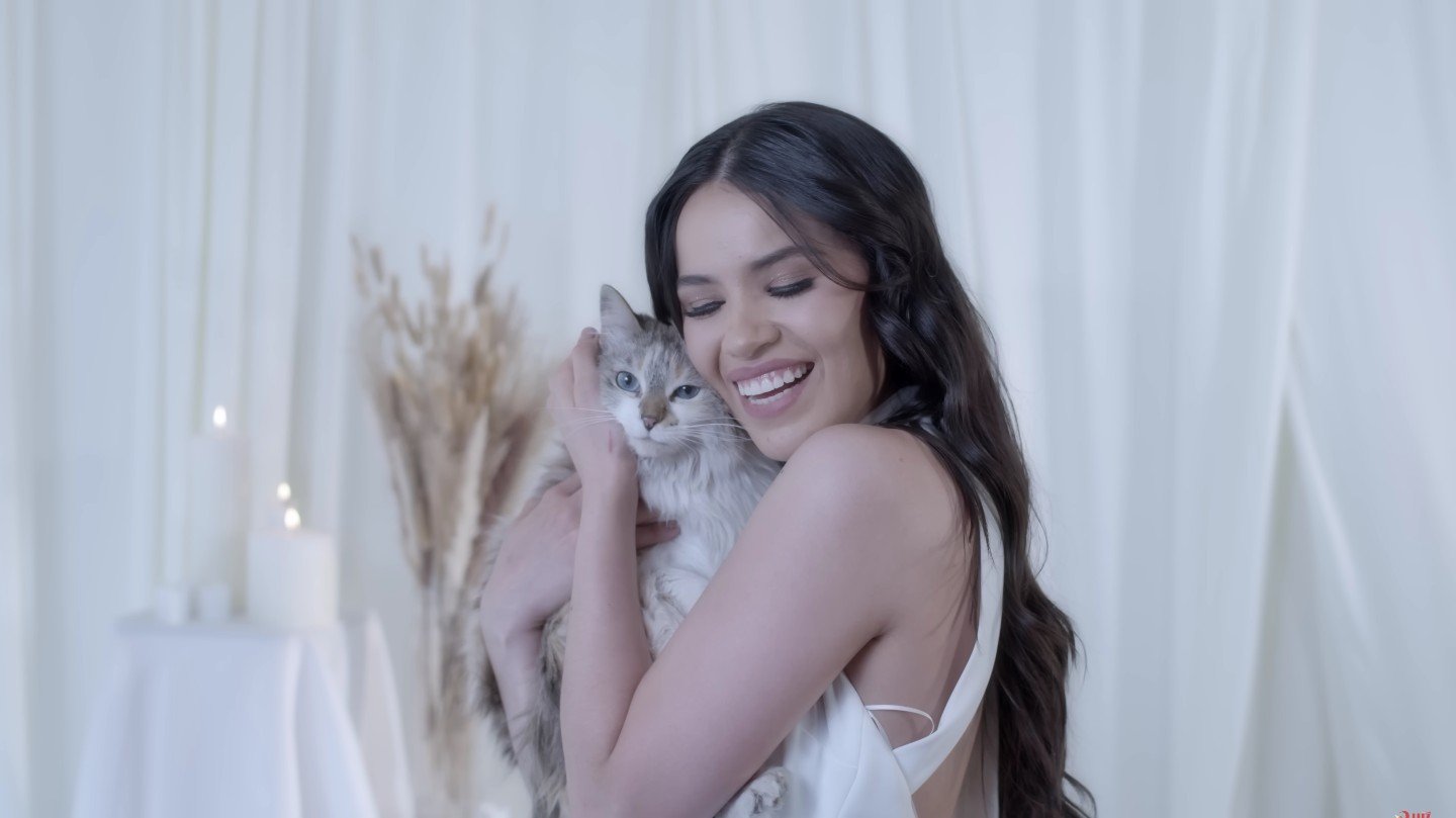 Silvia Zepeda en una escena del videoclip "Yo Le Pregunto a Dios", abrazando a un gato con expresión melancólica, en un ambiente cálido y nostálgico.